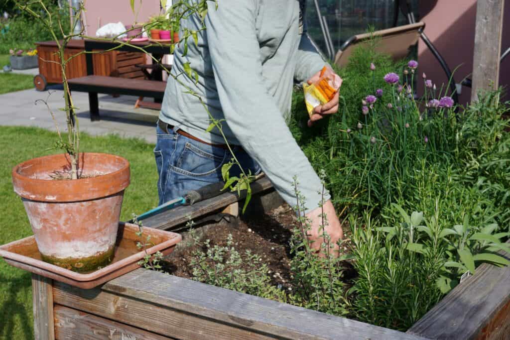 How to start and sustain a productive garden
